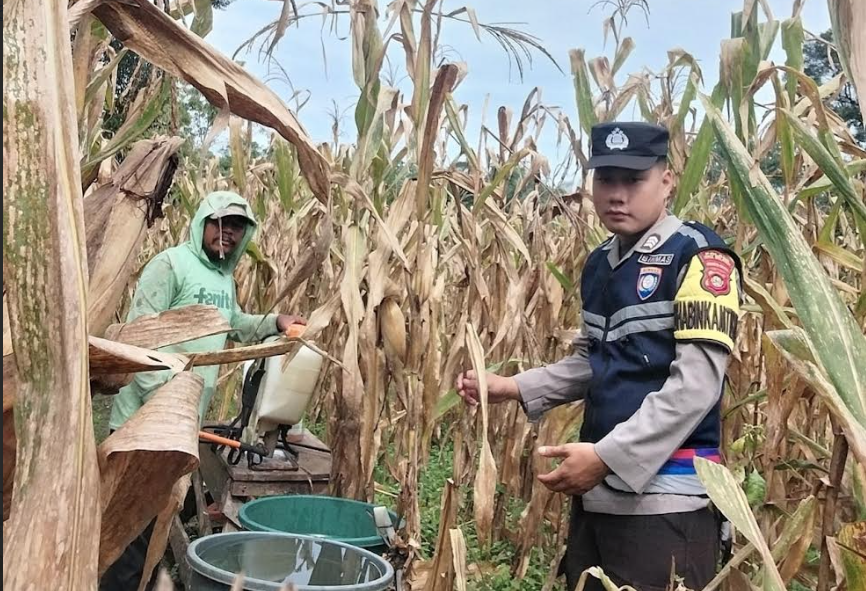 Polsek Buay runjung melalui babhinkamtibmas cek ketahanan pangan