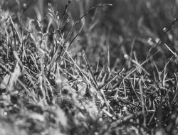 DARI TANPA KEUNTUNGAN SAMPAI JUTAAN: Perubahan Telkom dengan Mesin Duit Baru